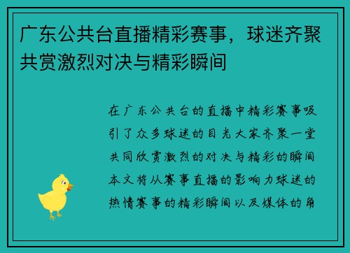 广东公共台直播精彩赛事，球迷齐聚共赏激烈对决与精彩瞬间
