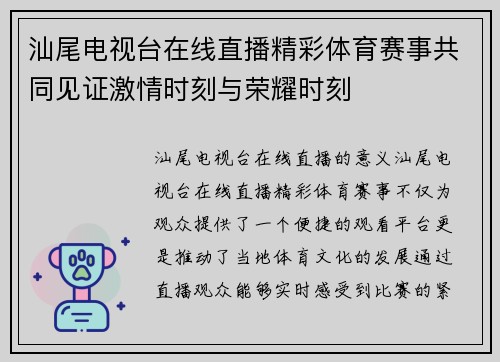 汕尾电视台在线直播精彩体育赛事共同见证激情时刻与荣耀时刻